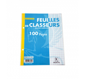Feuilles de classeur