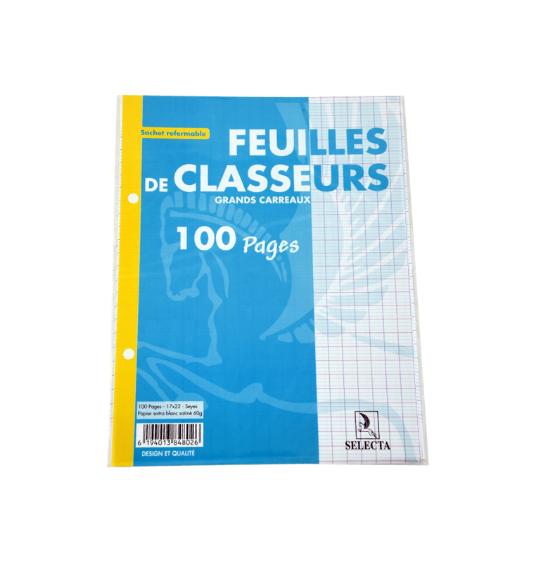 Feuilles de classeur