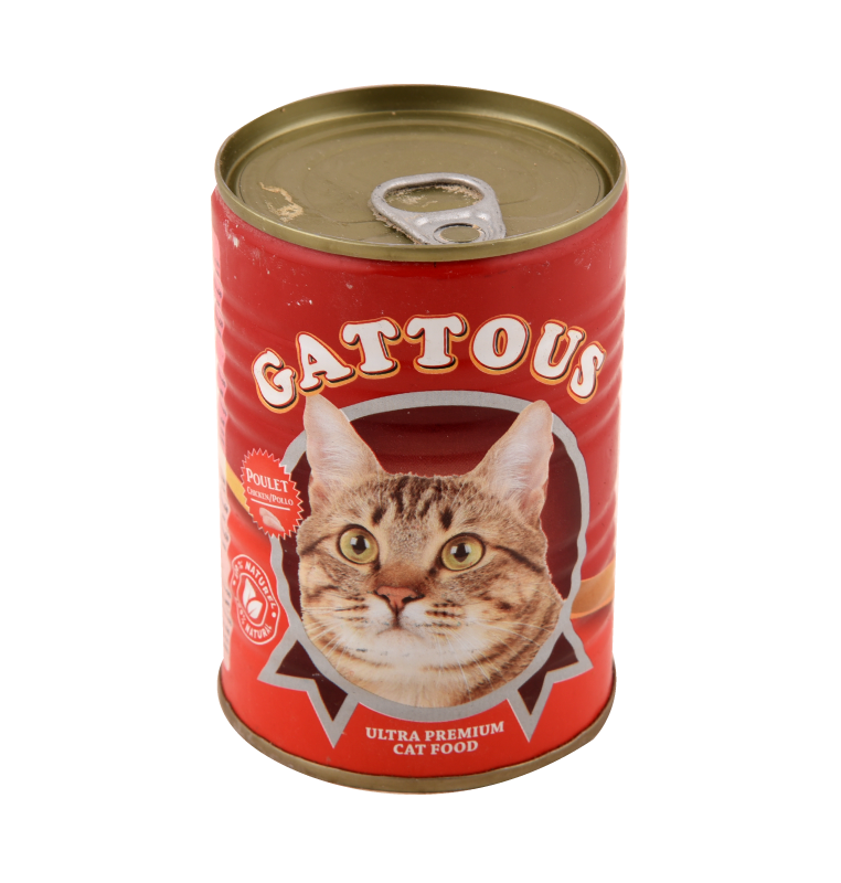 Aliment pour chat