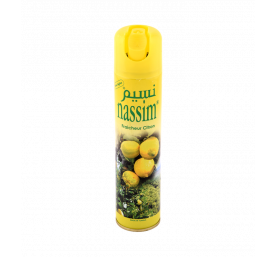 Désodorisant air