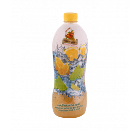 Boisson concentrée