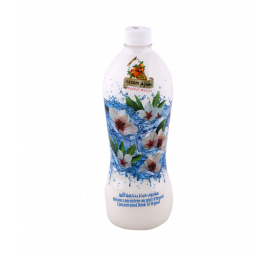 Boisson concentrée