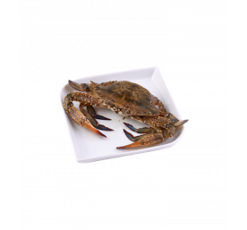 Crabes