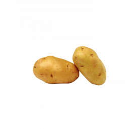Pomme de terre nouvelle
