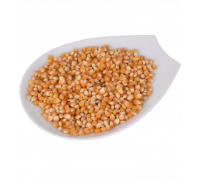 Grain de maïs
