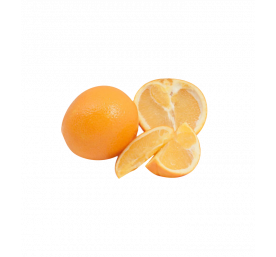 Orange Thomson Navel AA