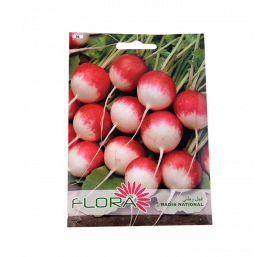 Semences de radis national