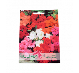 Semences d'impatiens
