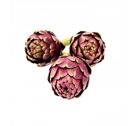 Artichaut violet