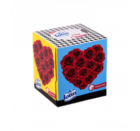 Distributeur de mouchoirs