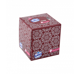 Distributeur de mouchoirs