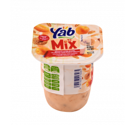 Yaourt mix