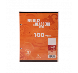 Feuilles classeur de dessin