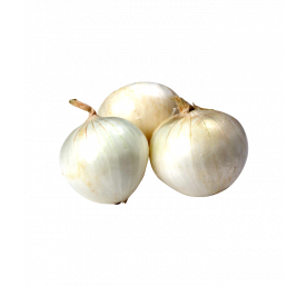 Oignon blanc