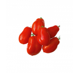 Tomate allongée