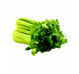 Celeri vert